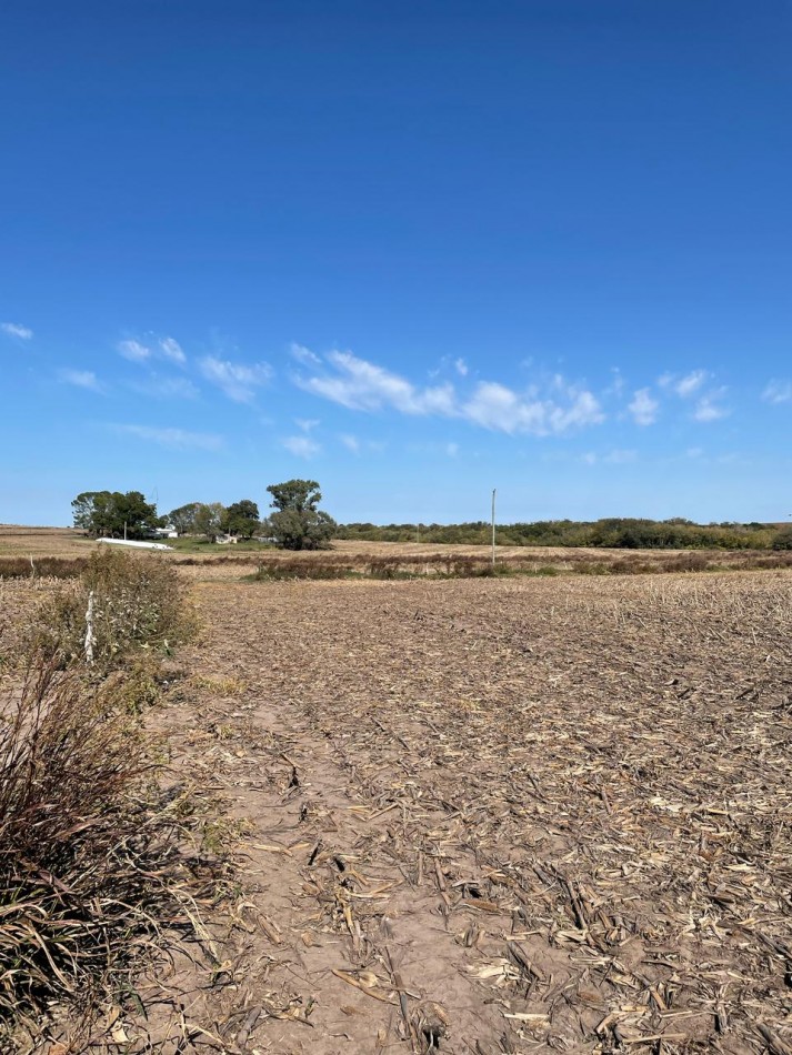 VENTA DE CAMPO EN MOLINO DOLL