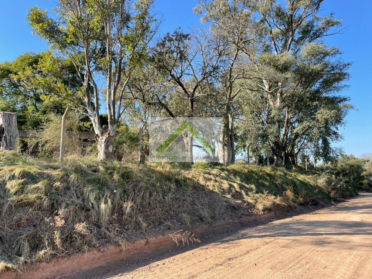 GRAN TERRENO EN VENTA ZONA QUINTAS DIAMANTE