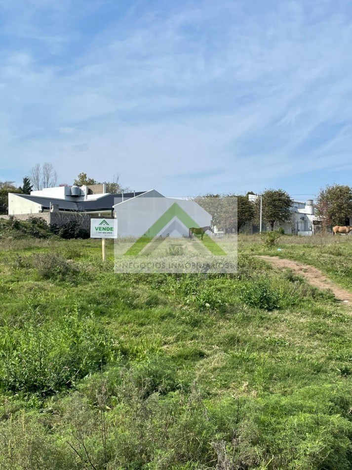 VENTA DE LOTES EN LA CIUDAD DE DIAMANTE.