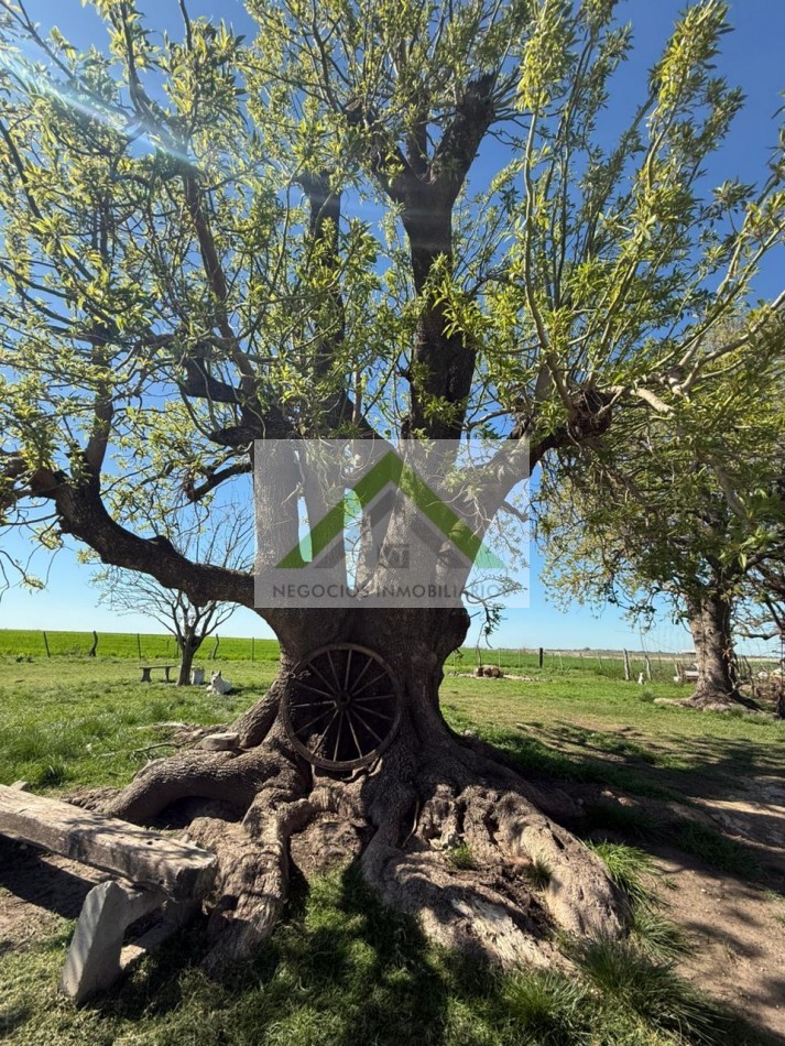 VENTA CAMPO+ CASA LIBERTADOR SAN MARTIN